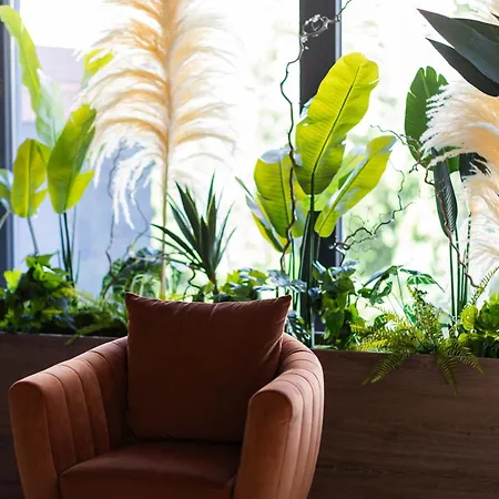 Hotel Levante Eforie Nord